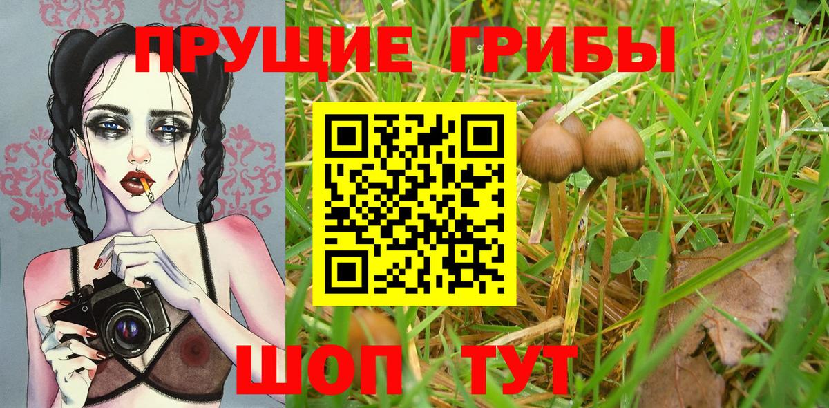 Галлюциногенные грибы мицелий  Вход с VPN  купить наркоту  Реж  Псилоцибиновые грибы мицелий 